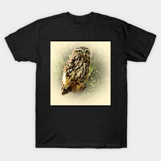 Little owl T-Shirt